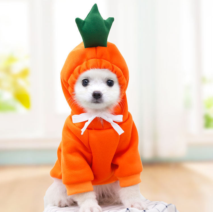 Cute Fruit Dog Clothes For Small Dogs Hoodies 4.7 ⭐⭐⭐⭐✰ out of 5 stars (1321)