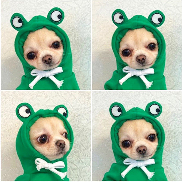 Cute Fruit Dog Clothes For Small Dogs Hoodies 4.7 ⭐⭐⭐⭐✰ out of 5 stars (1321)