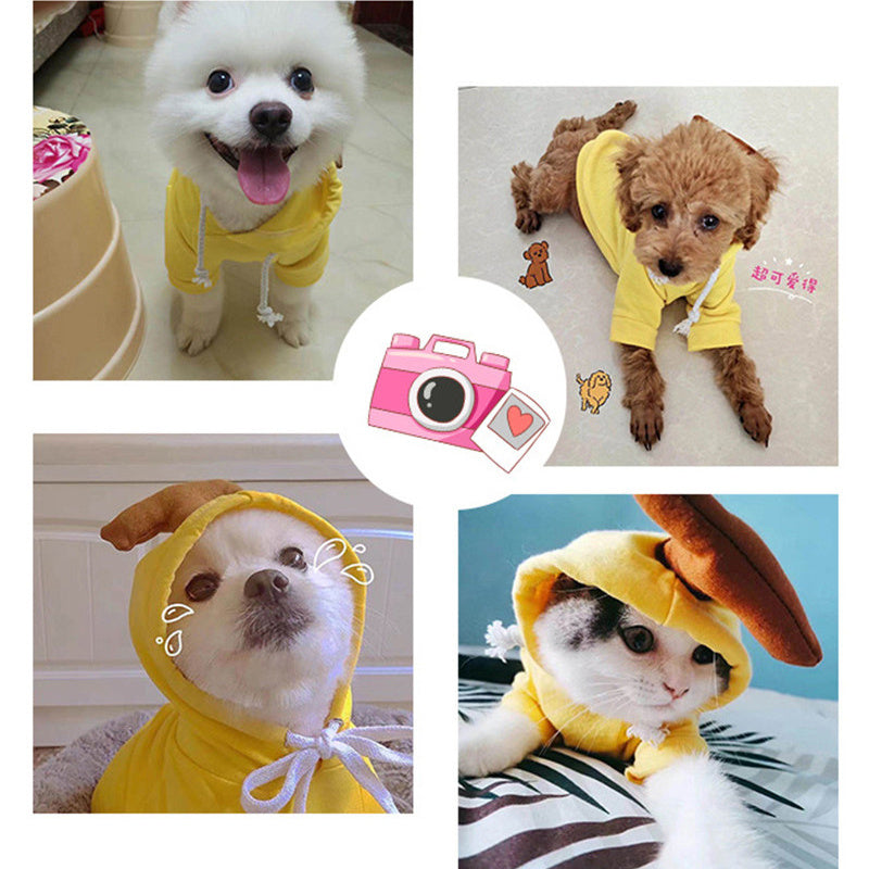 Cute Fruit Dog Clothes For Small Dogs Hoodies 4.7 ⭐⭐⭐⭐✰ out of 5 stars (1321)