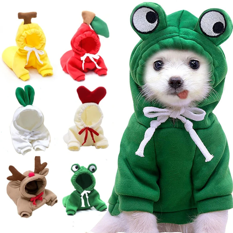 Cute Fruit Dog Clothes For Small Dogs Hoodies 4.7 ⭐⭐⭐⭐✰ out of 5 stars (1321)