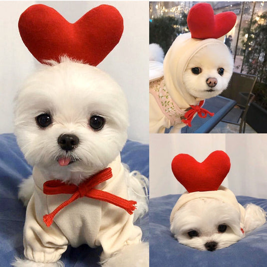 Cute Fruit Dog Clothes For Small Dogs Hoodies 4.7 ⭐⭐⭐⭐✰ out of 5 stars (1321)
